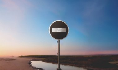 Gaulois feat. Ninho - Sens interdit