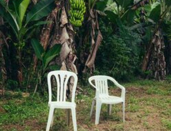 Bad Bunny - DeBÍ TiRAR MáS FOToS (Full album)