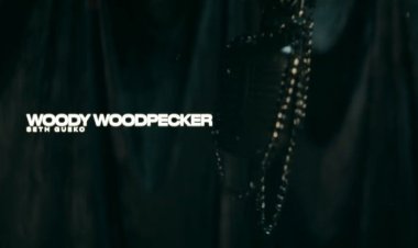 Seth Gueko - Woody woodpecker (Clip officiel)