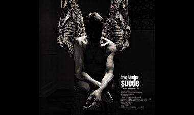 Antidepressants - The London Suede