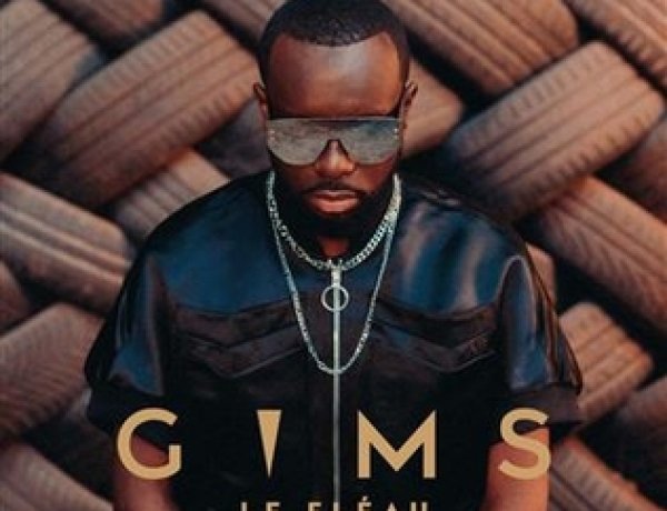 GIMS - LE FLÉAU (Album Complet)